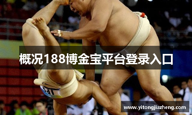 概况188博金宝平台登录入口